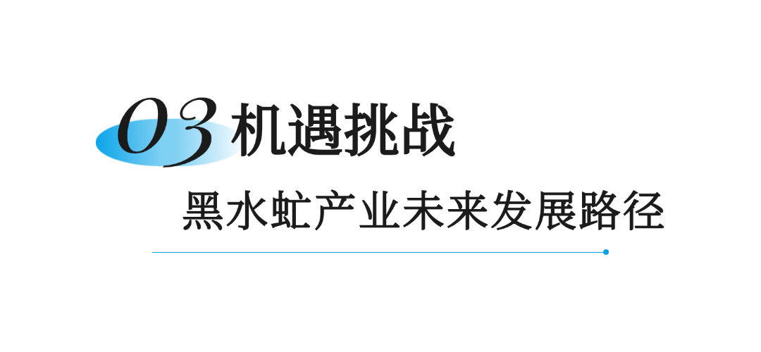 黑水虻列入饲料原料目录