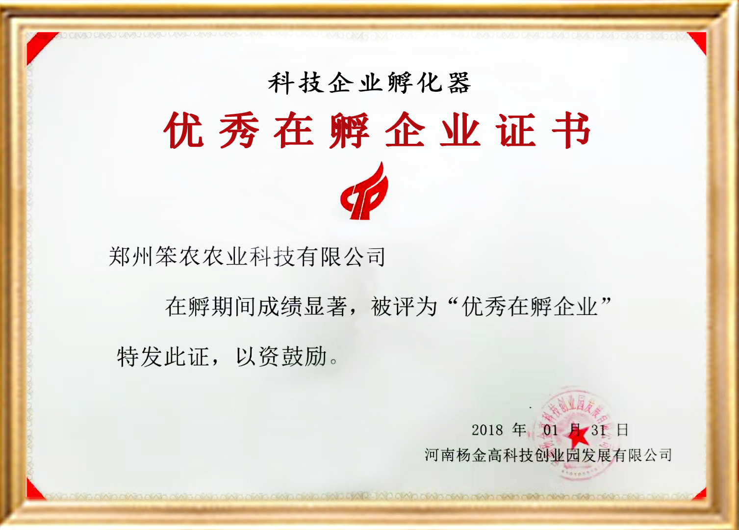 优秀在孵企业